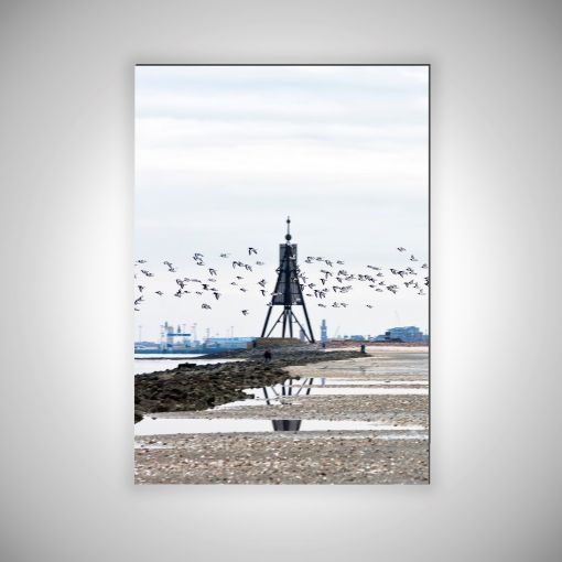 CuxPrint - Motiv: Kugelbake mit Vogelschwarm Hochformat | 3mm Alu-Dibond-Platte Galerie Print
