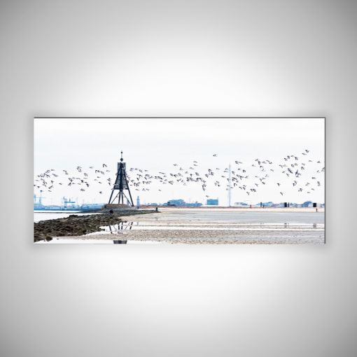 CuxPrint - Motiv: Kugelbake mit Vogelschwarm Panorama | 3mm Alu-Dibond-Platte Galerie Print